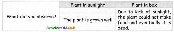 Samacheer Kalvi 4th Science Guide Term 2 chapter 3 Plants 4