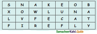 Samacheer Kalvi 4th Science Guide Term 3chapter 2 Life of animals 17
