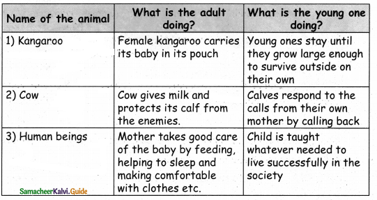 Samacheer Kalvi 4th Science Guide Term 3chapter 2 Life of animals 6