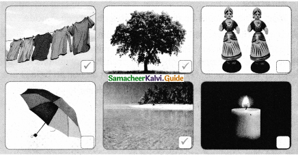 Samacheer Kalvi 4th Science Guide Term 3chapter 3 Air we breath 6