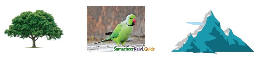 Samacheer Kalvi 4th Tamil Guide Chapter 24 மலையும் எதிரொலியும் 4