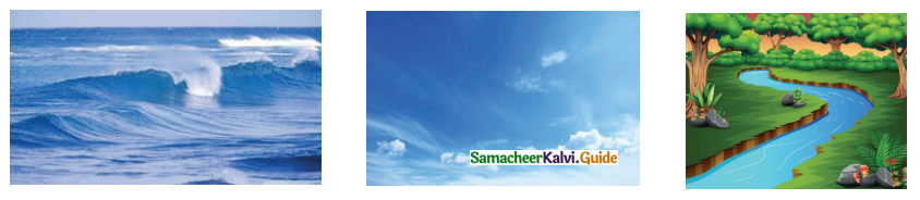 Samacheer Kalvi 4th Tamil Guide Chapter 24 மலையும் எதிரொலியும் 5
