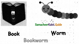 Samacheer Kalvi 5th English Guide Term 1 Supplementary Chapter 1 Lost in Space 10