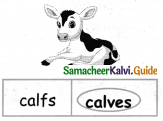 Samacheer Kalvi 5th English Guide Term 1 Supplementary Chapter 2 The Farmer and his Daughters 17
