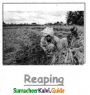 Samacheer Kalvi 5th English Guide Term 1 Supplementary Chapter 2 The Farmer and his Daughters 8