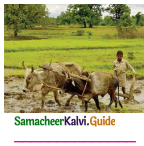 Samacheer Kalvi 5th English Guide Term 1 Supplementary Chapter 2 The Farmer and his Daughters 9