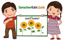 Samacheer Kalvi 5th English Guide Term 1 Prose Chapter 1 Earth, The Desolated Home 2