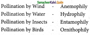 Samacheer Kalvi 5th Science Guide Term 2 Chapter 3 Plants 5