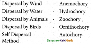 Samacheer Kalvi 5th Science Guide Term 2 Chapter 3 Plants 7