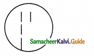 Samacheer Kalvi 12th Bio Botany Guide Chapter 3 Chromosomal Basis of Inheritance 17