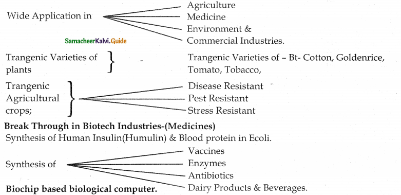 Samacheer Kalvi 12th Bio Botany Guide Chapter 4 Principles and Processes of Biotechnology 4