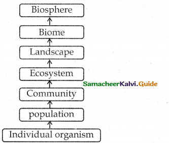 Samacheer Kalvi 12th Bio Botany Guide Chapter 6 Principles of Ecology 4
