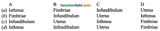 Samacheer Kalvi 12th Bio Zoology Guide Chapter 2 Human Reproduction 10