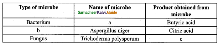 Samacheer Kalvi 12th Bio Zoology Guide Chapter 8 Microbes in Human Welfare 7