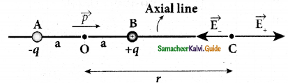 Samacheer Kalvi 12th Physics Guide Chapter 1 Electrostatics 19