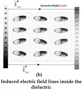 Samacheer Kalvi 12th Physics Guide Chapter 1 Electrostatics 51