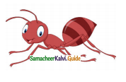 Samacheer Kalvi 4th English Guide Term 2 poem 2 Be Honest 14