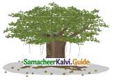 Samacheer Kalvi 4th English Guide Term 2 poem 3 The painter 10