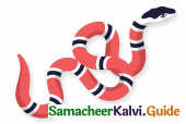 Samacheer Kalvi 4th English Guide Term 2 poem 3 The painter 13
