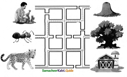 Samacheer Kalvi 4th English Guide Term 2 poem Chapter 2 what do human save 2