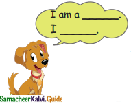 Samacheer Kalvi 4th English Guide Term 3 Supplementary 1 The mistaken plate 6