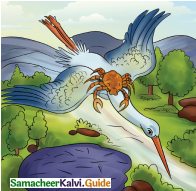 Samacheer Kalvi 4th English Guide Term 3 Supplementary 3 The Magic pencil 11