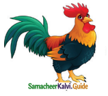 Samacheer Kalvi 4th English Guide Term 3 Supplementary 3 The Magic pencil 3
