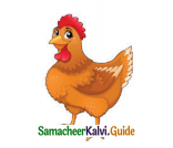Samacheer Kalvi 4th English Guide Term 3 Supplementary 3 The Magic pencil 4