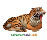 Samacheer Kalvi 4th English Guide Term 3 Supplementary 3 The Magic pencil 7