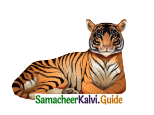 Samacheer Kalvi 4th English Guide Term 3 Supplementary 3 The Magic pencil 8