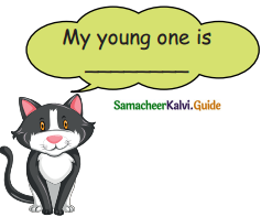 Samacheer Kalvi 5th English Guide Term 3 Prose Chapter 3 The Monster Tree 19