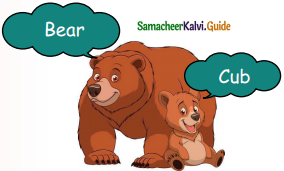 Samacheer Kalvi 5th English Guide Term 3 Prose Chapter 3 The Monster Tree 2