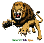 Samacheer Kalvi 5th English Guide Term 3 poem 1 Why Questions 24