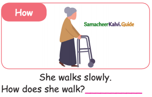 Samacheer Kalvi 5th English Guide Term 3 poem 1 Why Questions 3