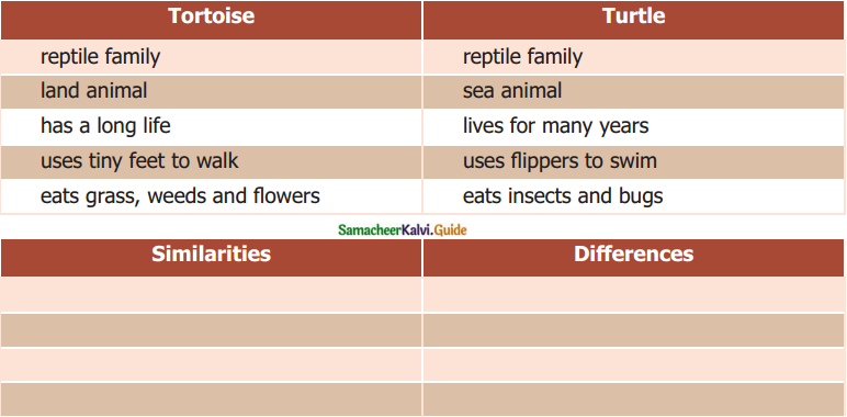 Samacheer Kalvi 6th English Guide Term 1 Prose Chapter 1 Sea Turtles 11