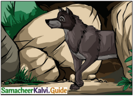 Samacheer Kalvi 6th English Guide Term 3 Play Chapter 1 The Jungle Book 3
