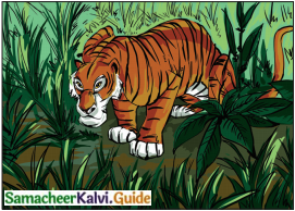 Samacheer Kalvi 6th English Guide Term 3 Play Chapter 1 The Jungle Book 4