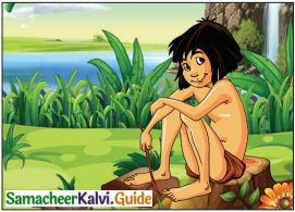 Samacheer Kalvi 6th English Guide Term 3 Play Chapter 1 The Jungle Book 5
