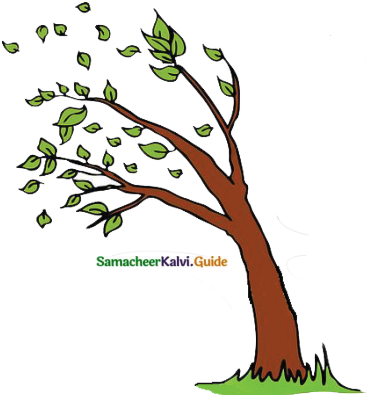 Samacheer Kalvi 6th English Guide Term 3 Poem 1 Indian Seasons 3