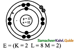 Samacheer Kalvi 9th Science Guide Chapter 11 Atomic Structure 19