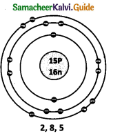 Samacheer Kalvi 9th Science Guide Chapter 11 Atomic Structure 8
