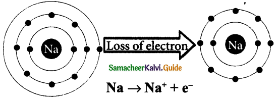 Samacheer Kalvi 9th Science Guide Chapter 13 Chemical Bonding 1