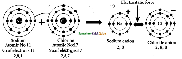 Samacheer Kalvi 9th Science Guide Chapter 13 Chemical Bonding 15