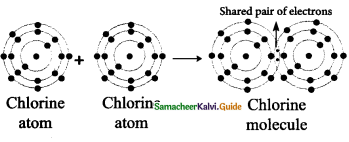 Samacheer Kalvi 9th Science Guide Chapter 13 Chemical Bonding 14