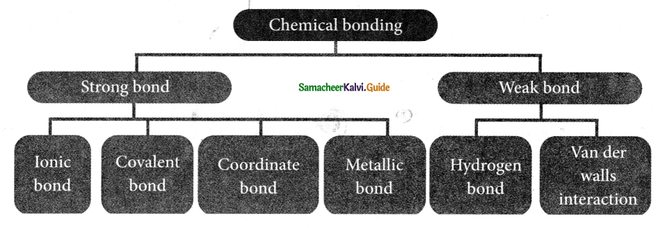Samacheer Kalvi 9th Science Guide Chapter 13 Chemical Bonding 3