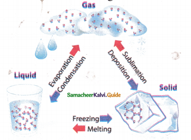 Samacheer Kalvi 9th Science Guide Chapter 7 Heat 1