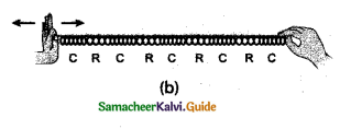 Samacheer Kalvi 9th Science Guide Chapter 8 Sound 3