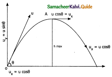 Samacheer Kalvi 11th Physics Guide Chapter 2 Kinematics 31