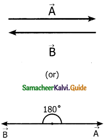 Samacheer Kalvi 11th Physics Guide Chapter 2 Kinematics 88