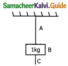 Samacheer Kalvi 11th Physics Guide Chapter 3 Laws of Motion 59